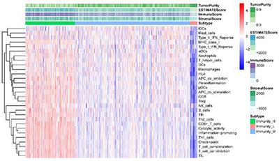 Identification of Signature Genes and Characterizations of Tumor Immune Microenvironment and Tumor Purity in Lung Adenocarcinoma Based on Machine Learning